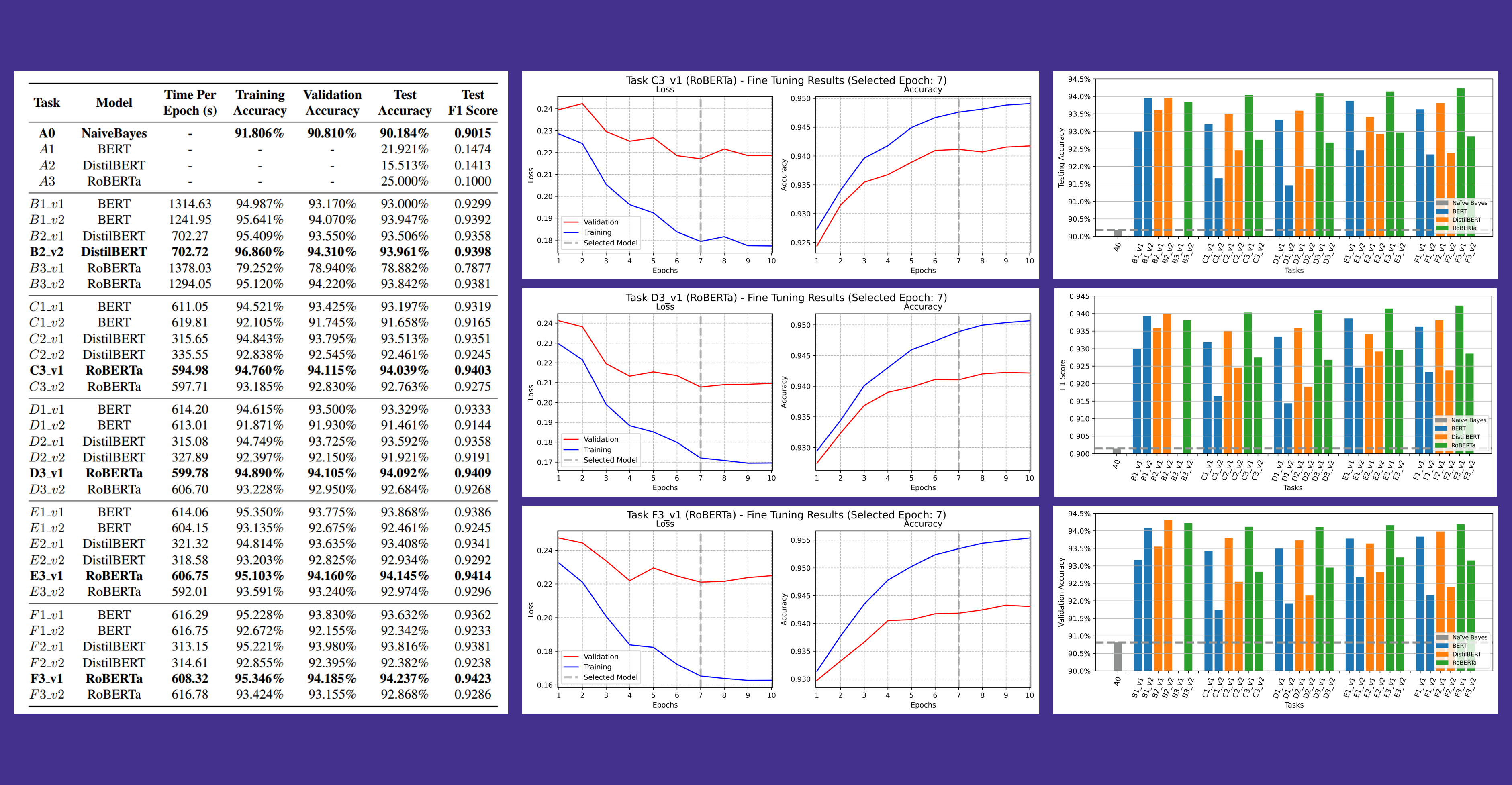 Efficient Fine-Tuning of Transformer Models for Text Classification
